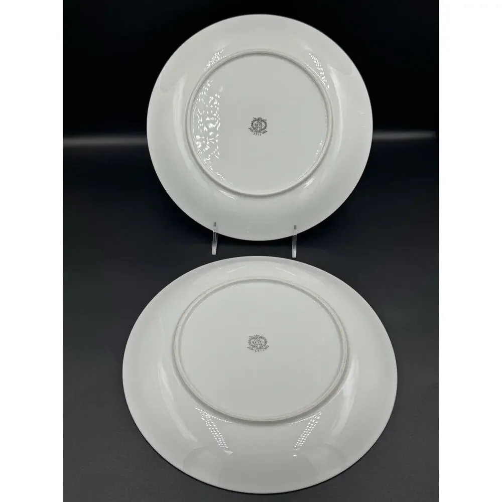 Vintage Seyei Snowy MCM Atomic Snowflake 10.5” Dinner Plate Set Of 2